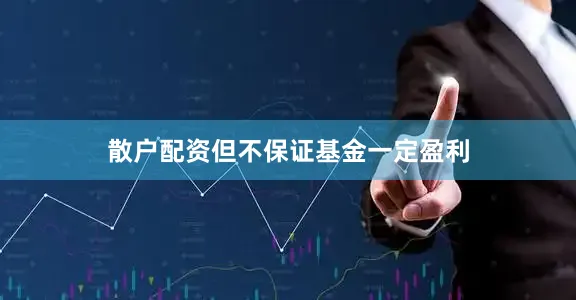 散户配资但不保证基金一定盈利