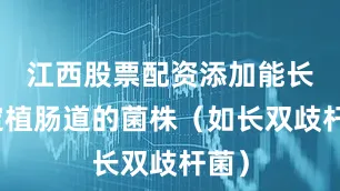 江西股票配资添加能长期定植肠道的菌株（如长双歧杆菌）